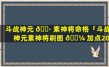 斗战神元 🌷 素神将命格「斗战神元素神将刷图 🐼 加点2024」